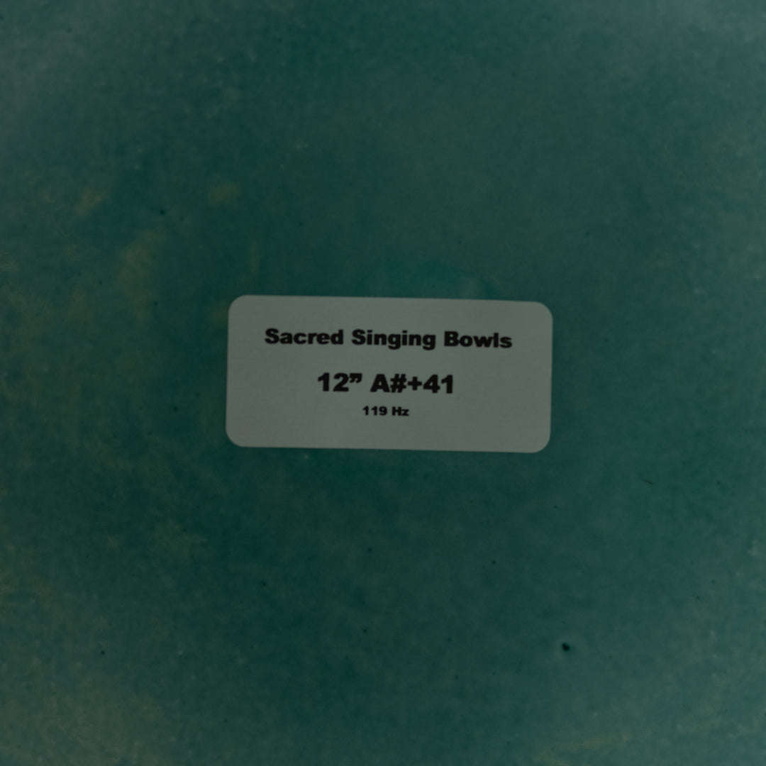 Sedona Crystal Temple: Singing Bowl store