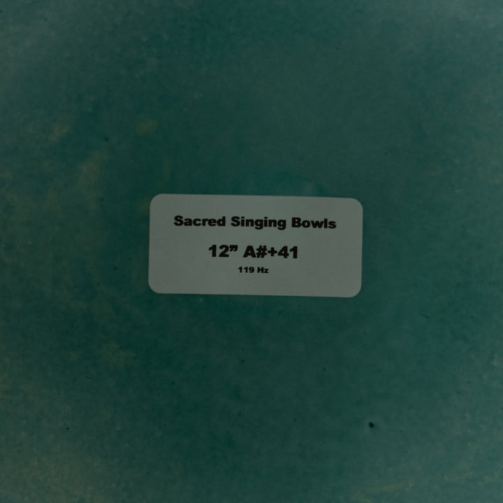 Sedona Crystal Temple: Singing Bowl store