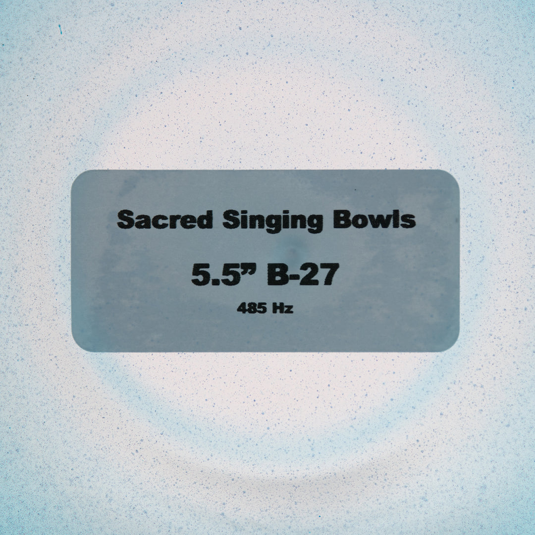 5.5" B-27 Whale Song Bowl