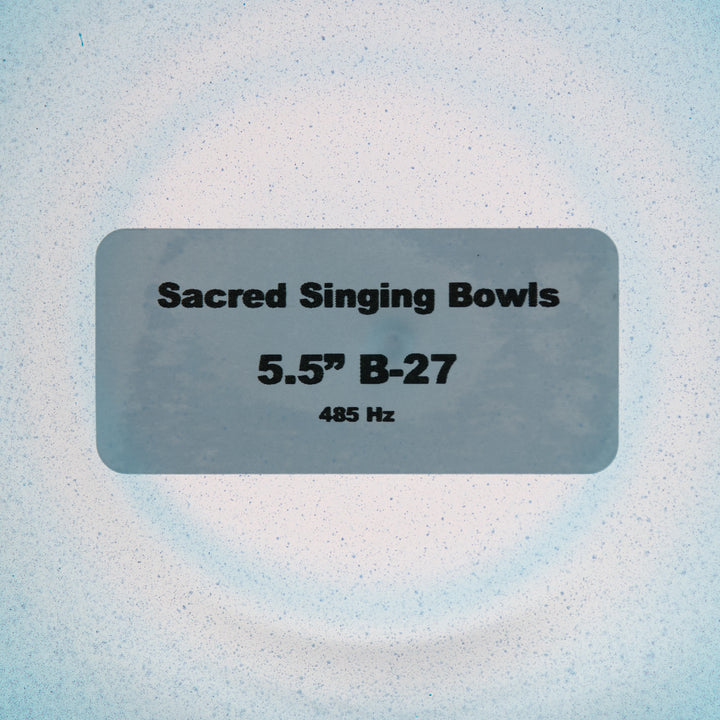 5.5" B-27 Whale Song Bowl