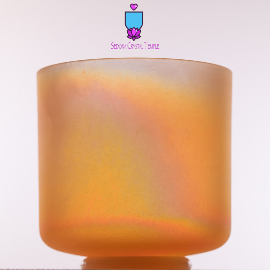 8" B+10 Selenite & Crone Goddess