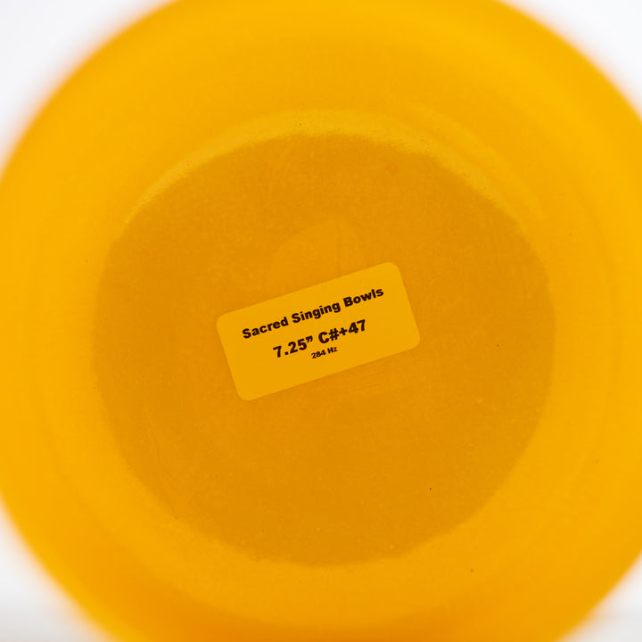 Musical instrument store