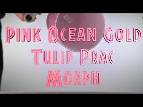 7" G-20 Pink Ocean Gold Morph, Crystal Tones™