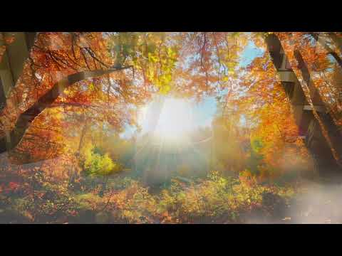 "Equinox 1: Seasons of Promise"