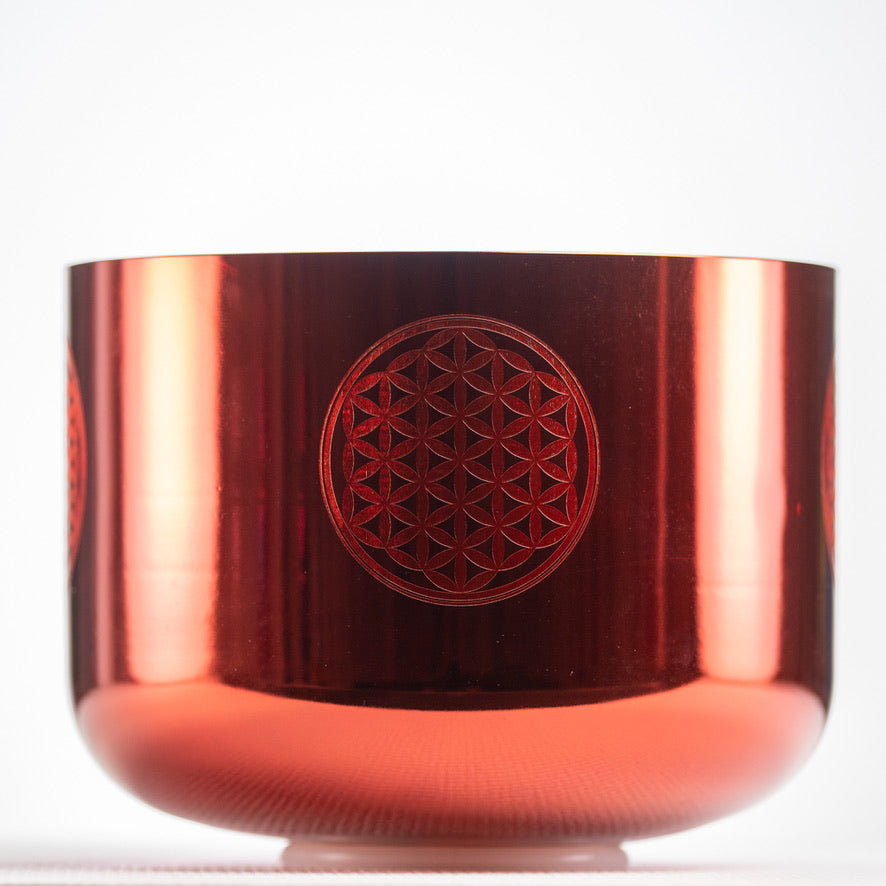 11" F+13 Solara Singing Bowl with Flower of Life from Bowls of Sound