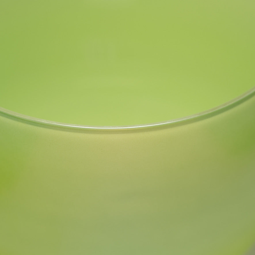 Forest Fairy singing bowl close up