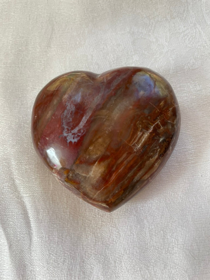 Petrified Wood Heart