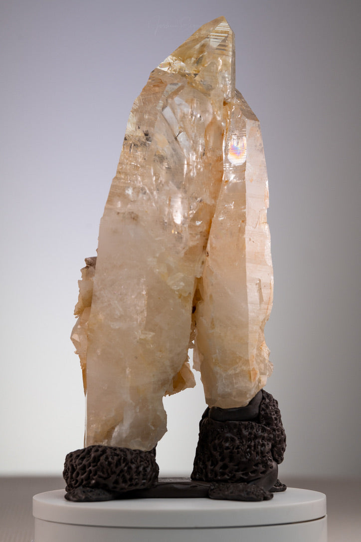 Lemurian Golden Healer