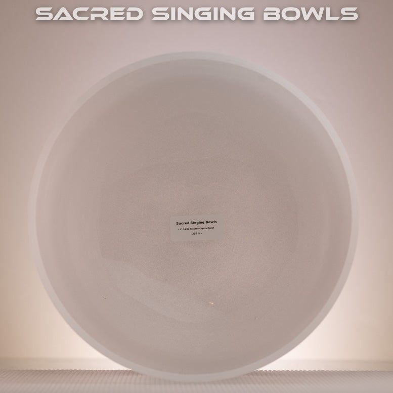 12" C-24 Frosted Bowl