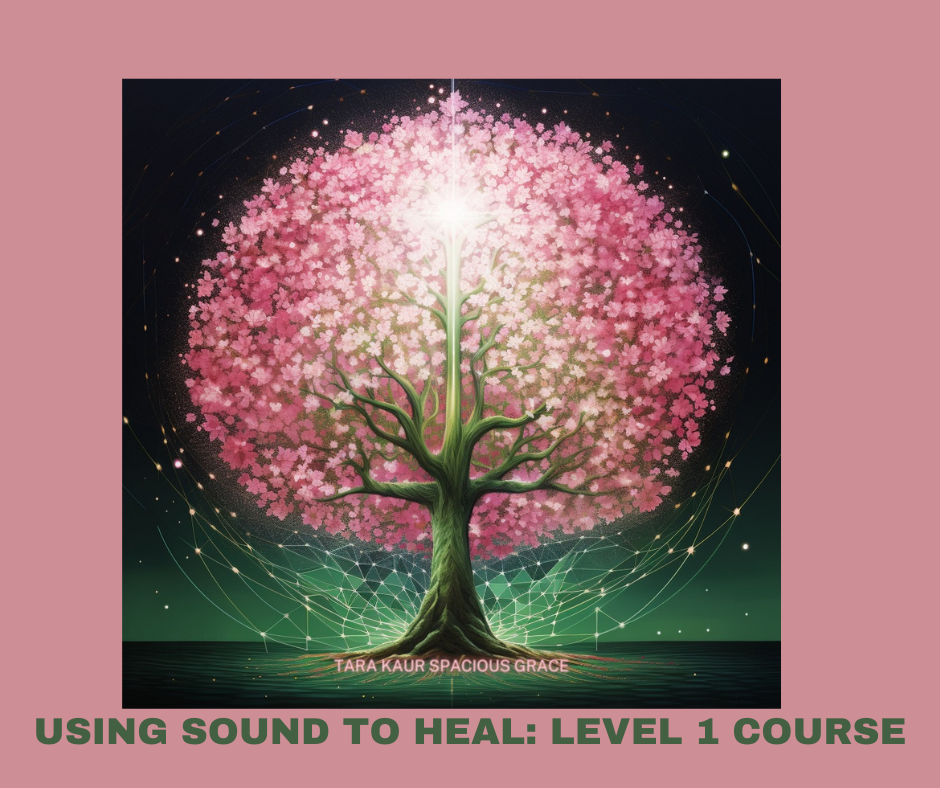 Using Sound to Heal: Private Sound Healing Training
