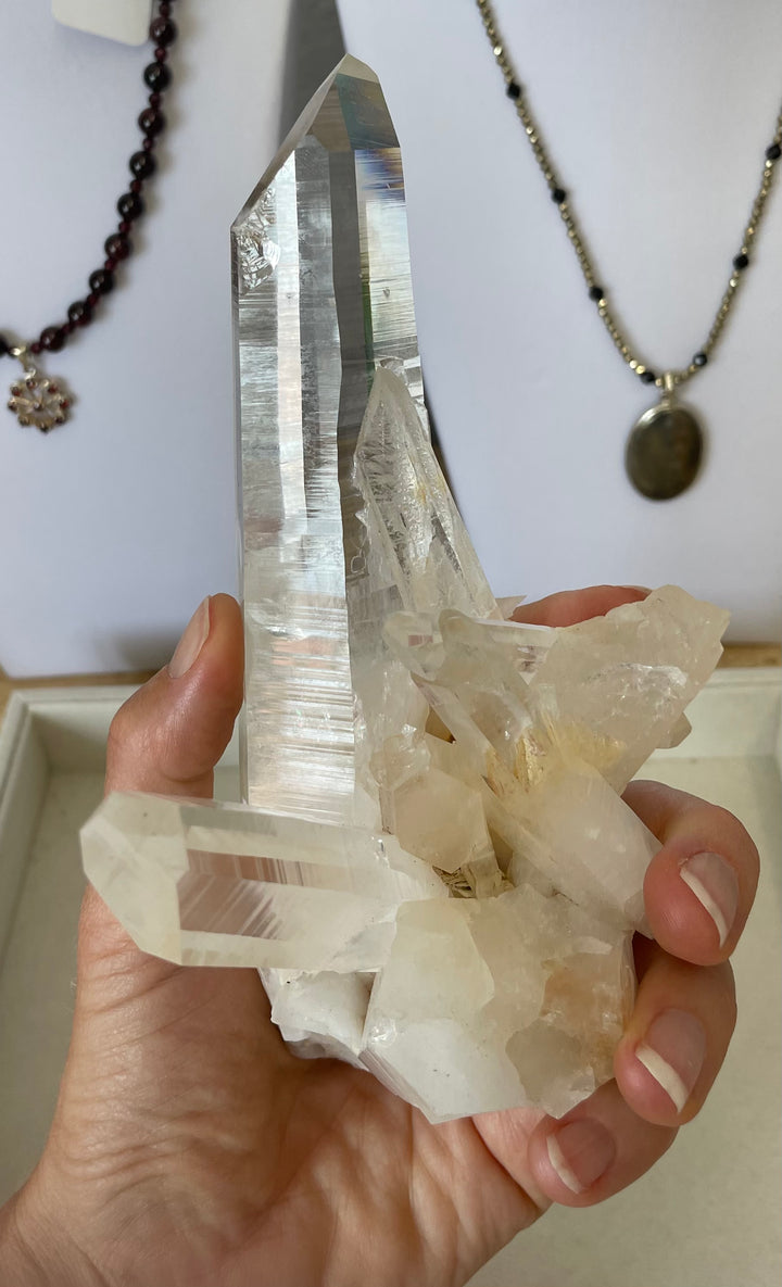 Lemurian Seed Cluster with 2 Wands