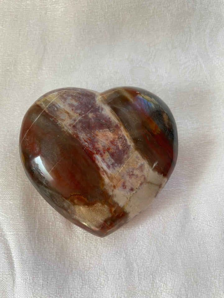 Petrified Wood Heart