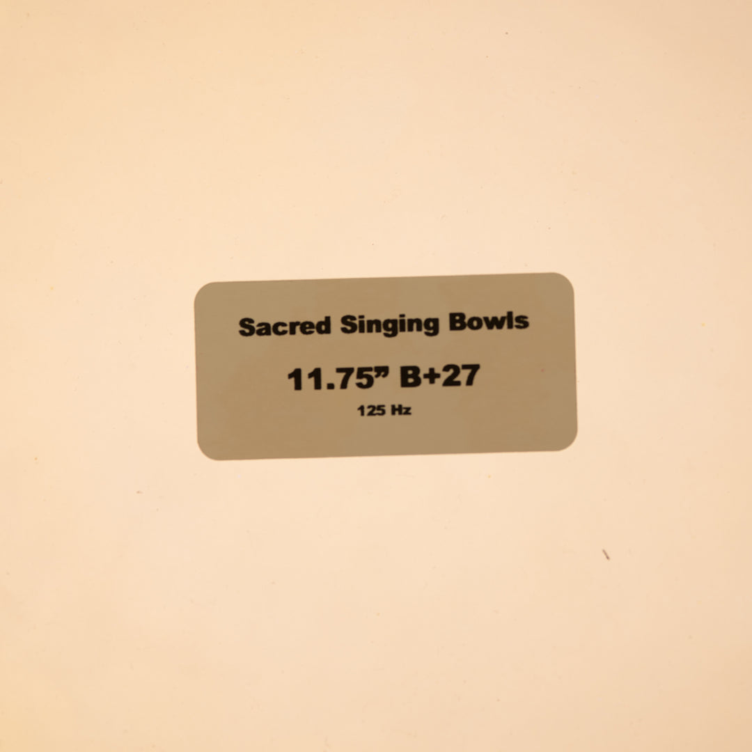 11.75" B+27 Radiant Sun Bowl