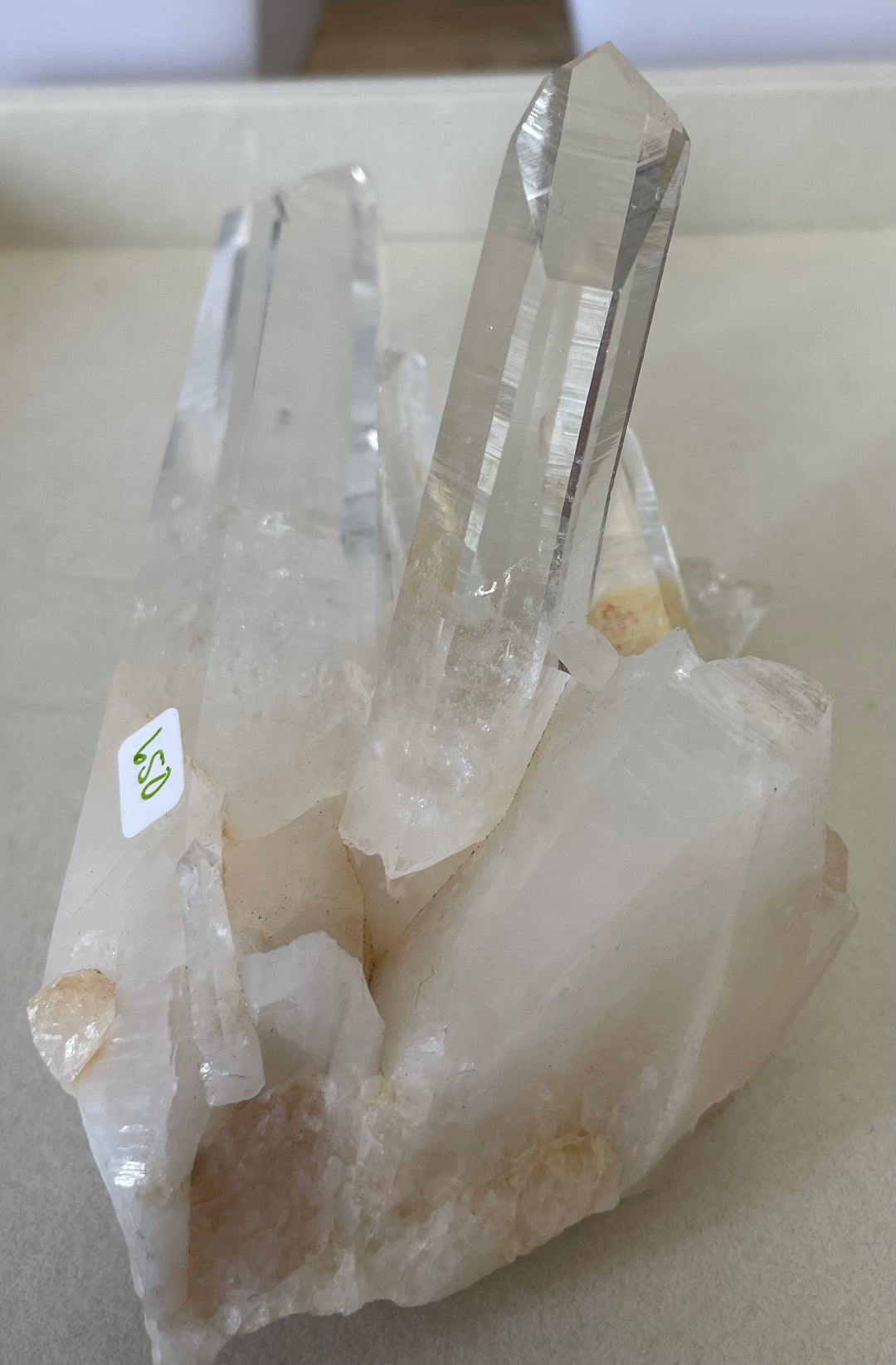 Lemurian Seed Cluster with 2 Wands