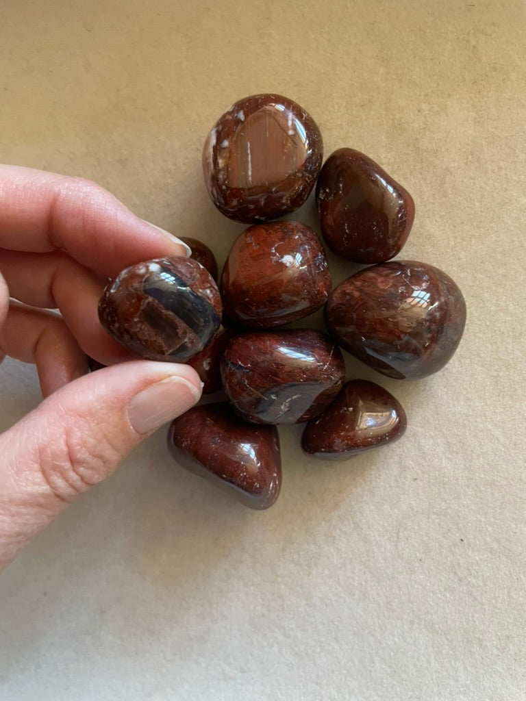 Petrified Wood Tumbles