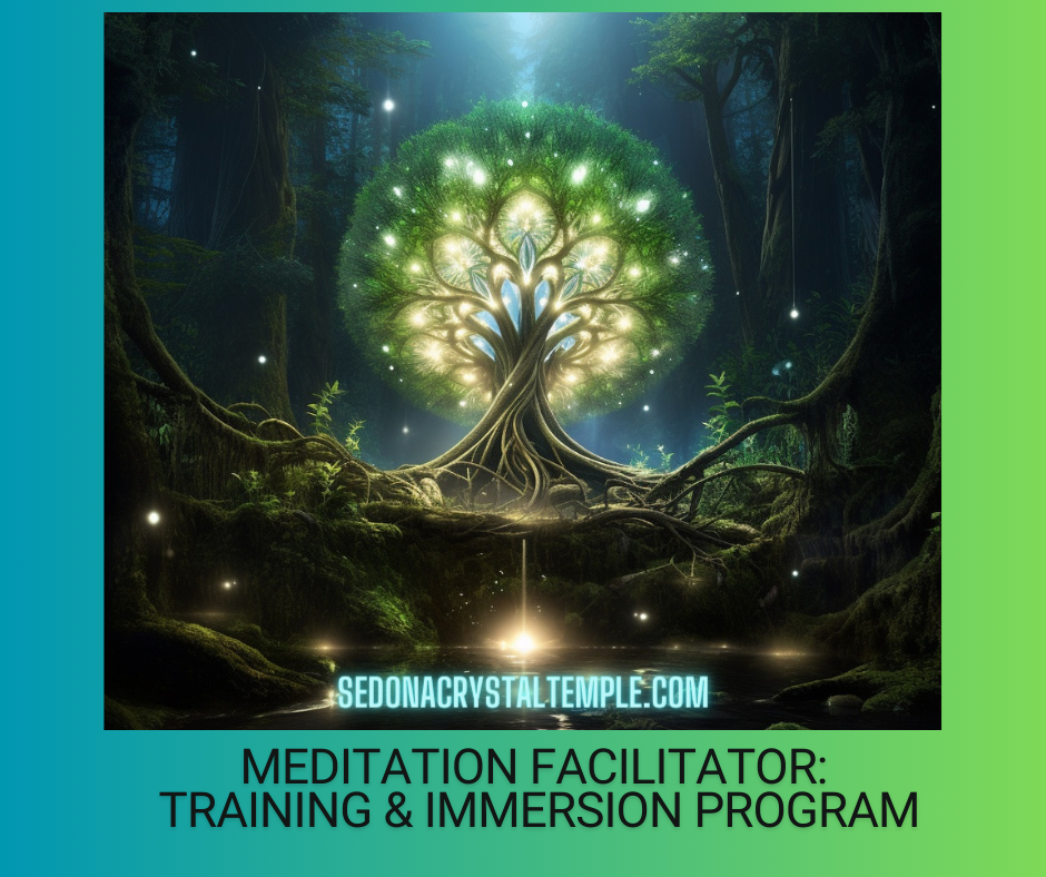 Meditation Facilitator Training: Private Training