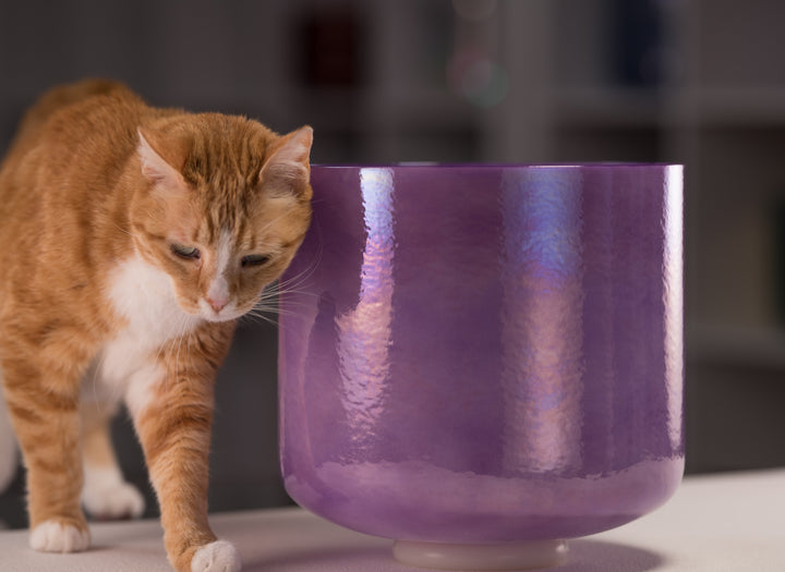 10" F-32 Lilac Blossom Crystal Singing Bowl