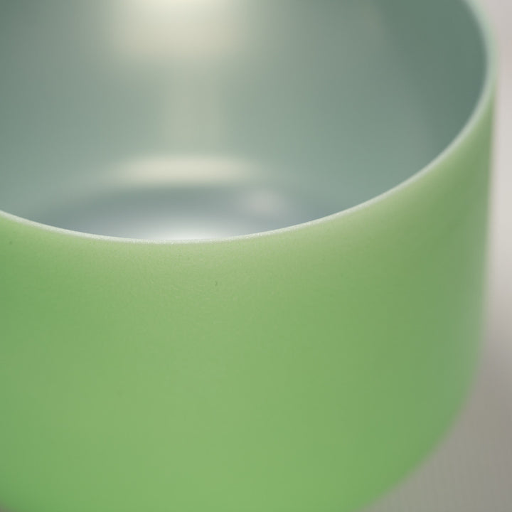 9" F+6 Peaceful Garden Frosted Crystal Singing Bowl with Silver inside