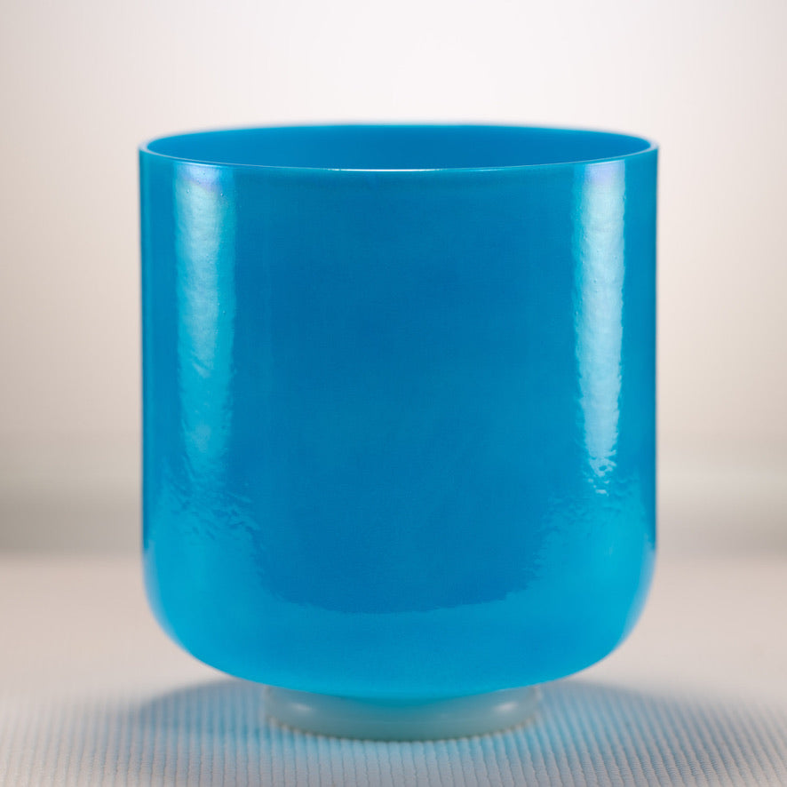 Musical instrument store