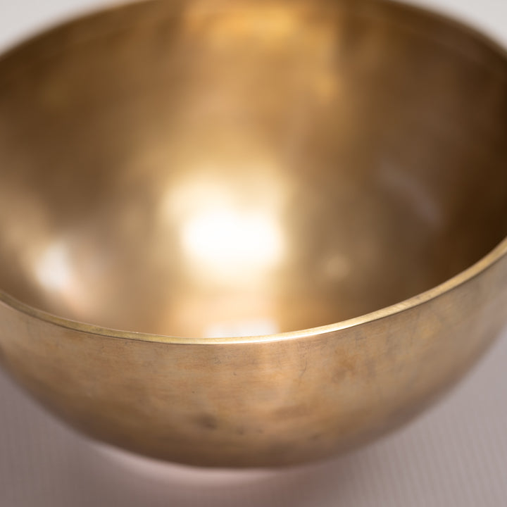 Himalayan bowl close up