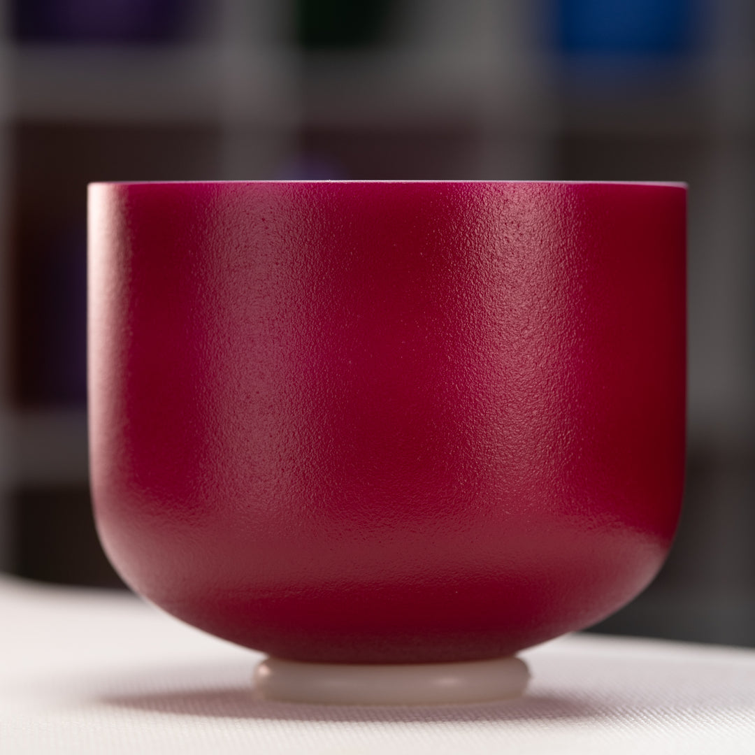 Musical instrument store