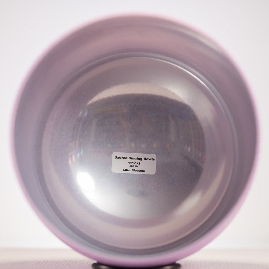 11" C+2 Frosted Lilac Blossom Crystal Singing Bowl