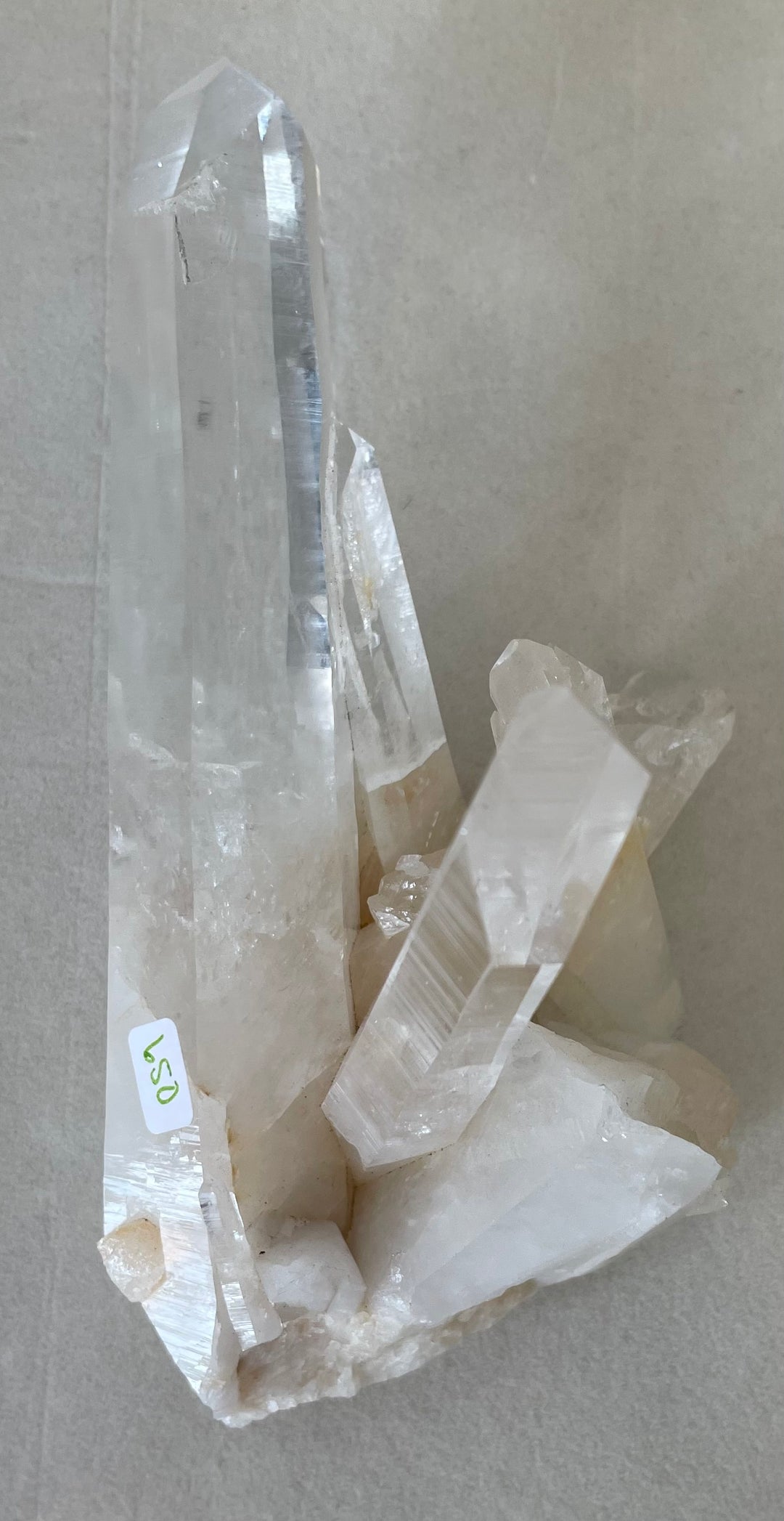 Lemurian Seed Cluster with 2 Wands