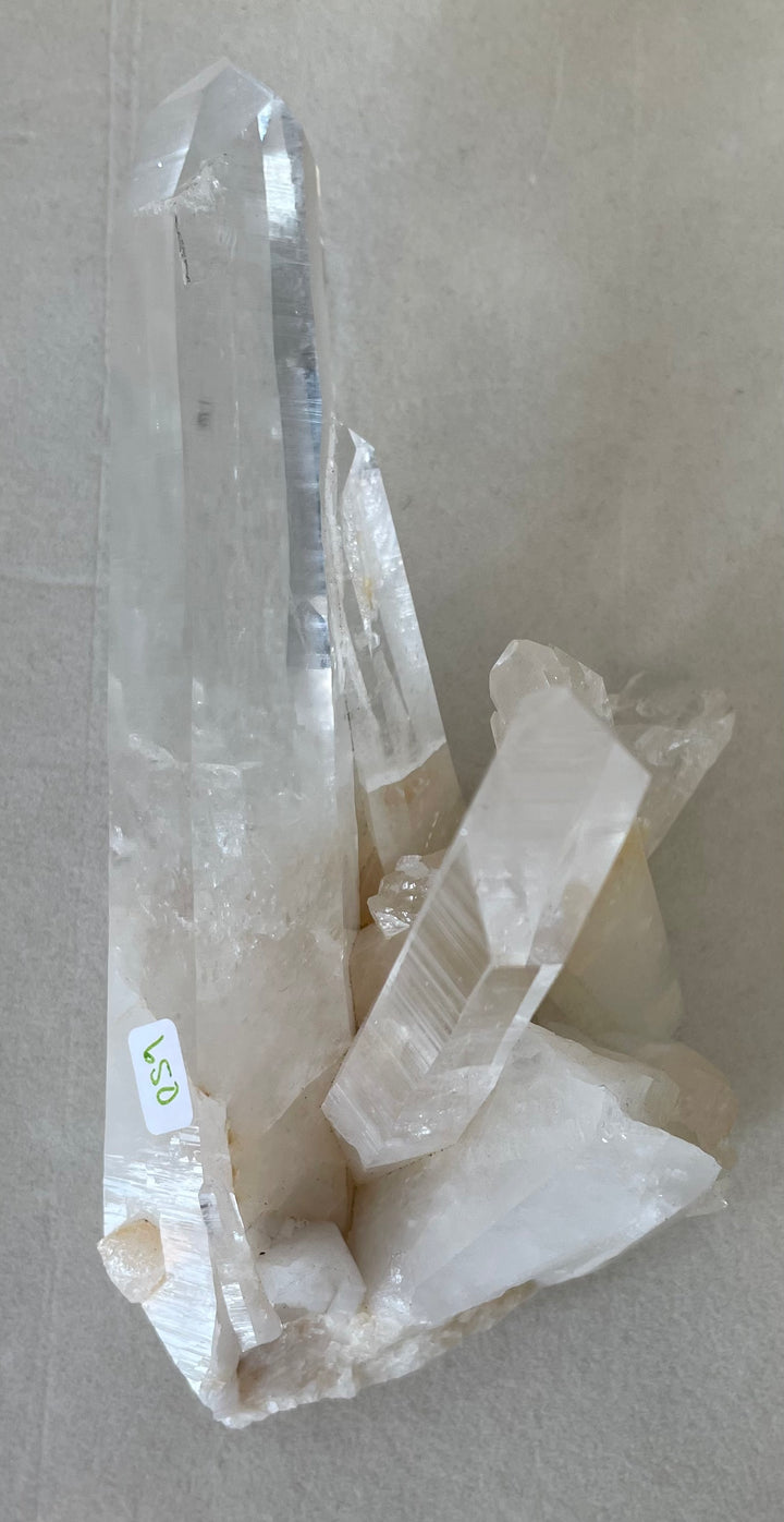 Lemurian Seed Cluster with 2 Wands