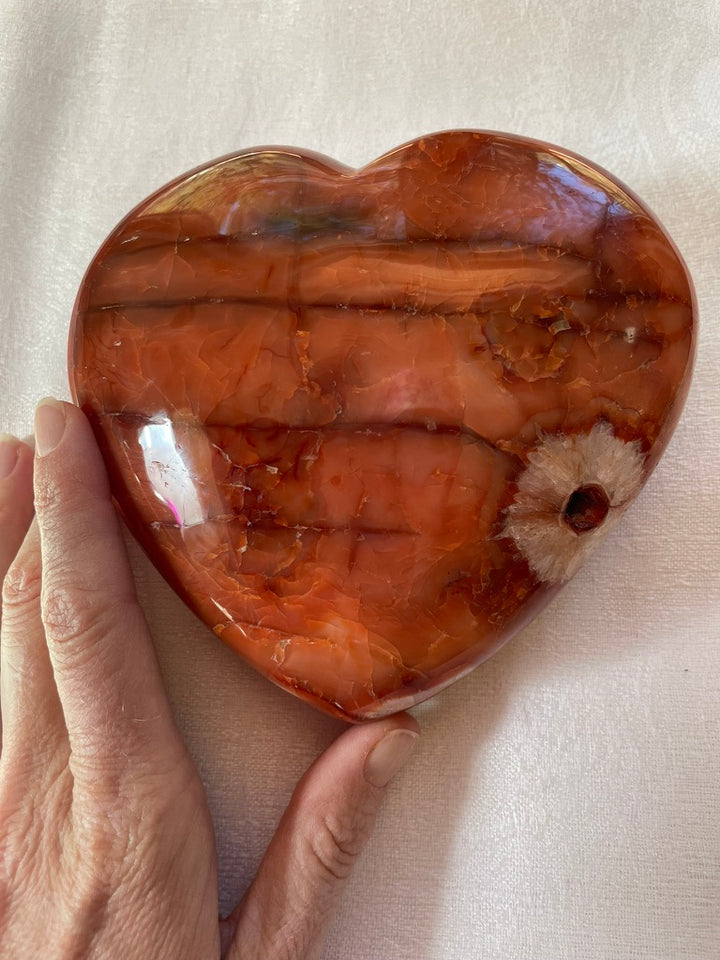 Extra Large Carnelian Heart with Quartz Flower inclusion