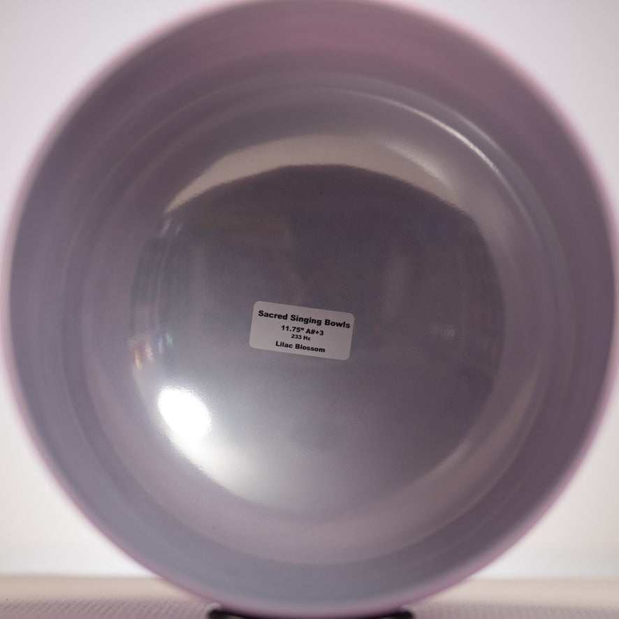 11.75" A#+3 Frosted Lilac Blossom Crystal Singing Bowl
