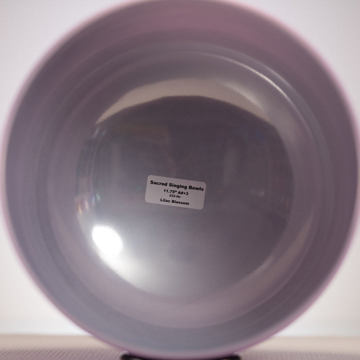 11.75" A#+3 Frosted Lilac Blossom Crystal Singing Bowl