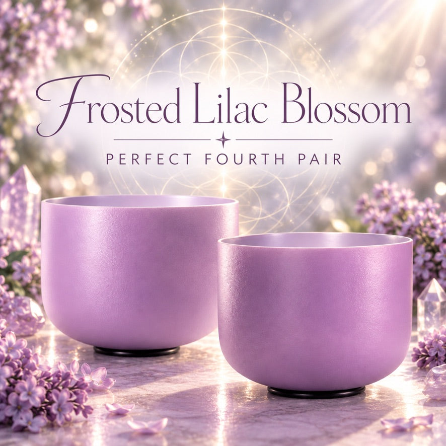 Frosted Lilac Blossom: Perfect Fourth Singing Bowl Pair