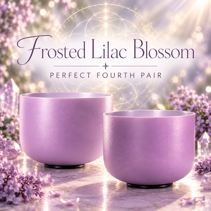 Frosted Lilac Blossom: Perfect Fourth Singing Bowl Pair