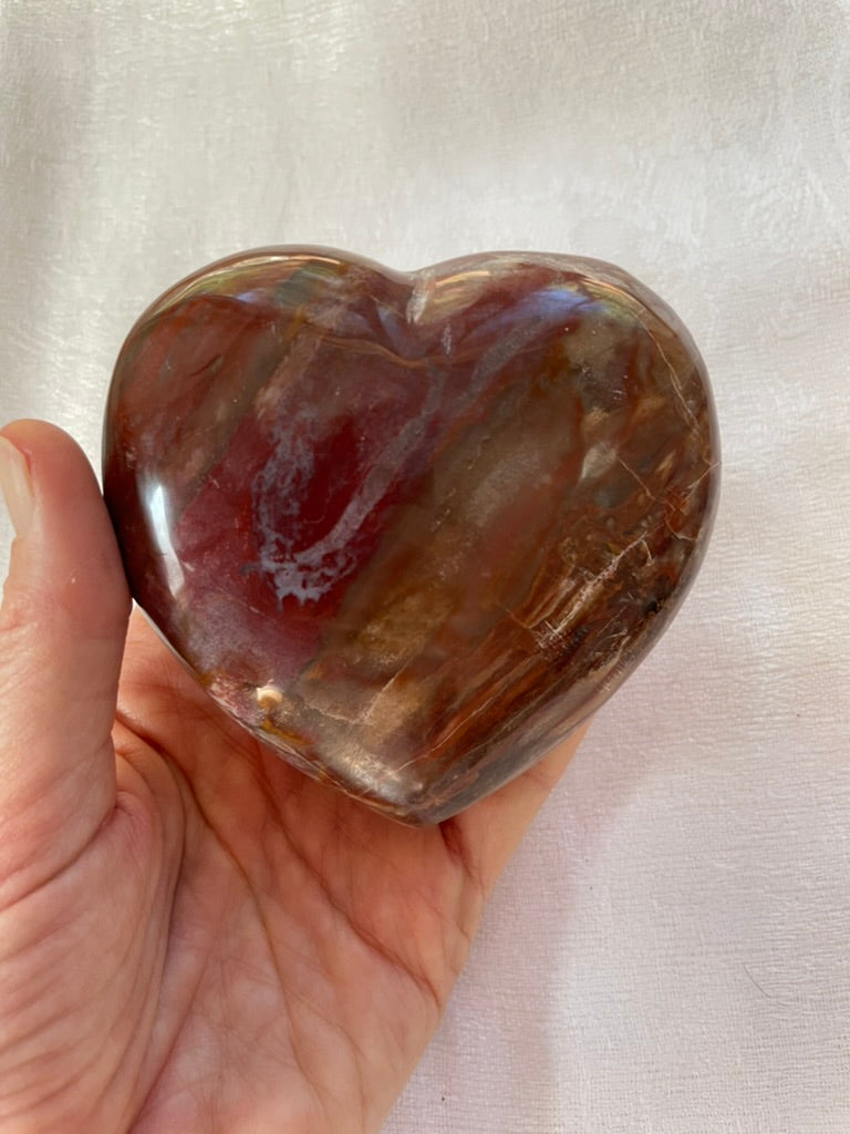 Petrified Wood Heart