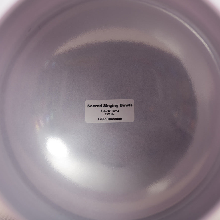 10.75" B+3 Frosted Lilac Blossom Crystal Singing Bowl
