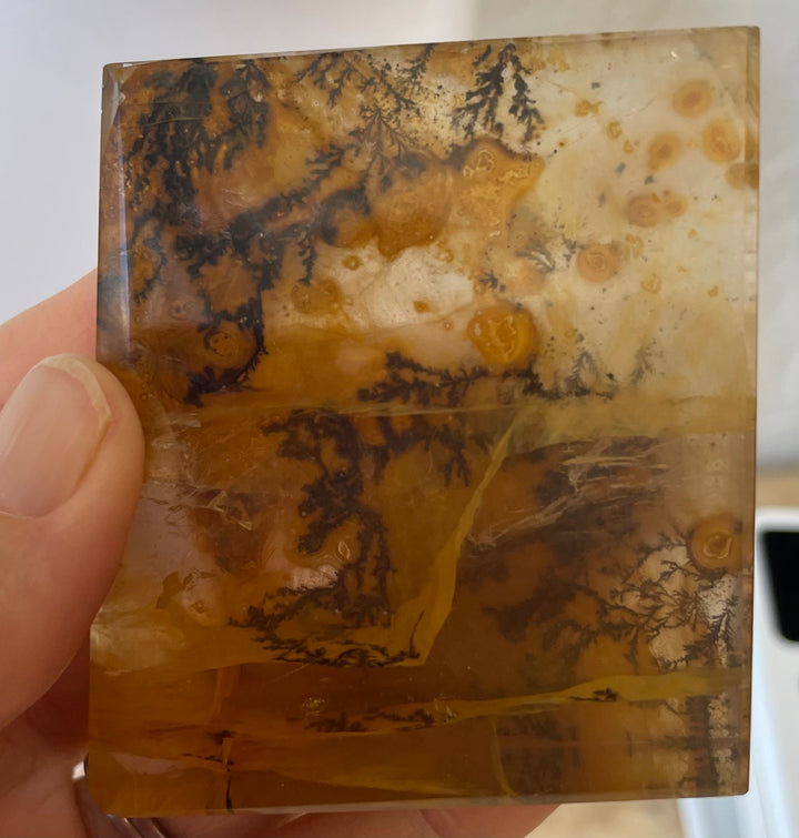 Yellow Dendritic Agate from Bowls of Sound