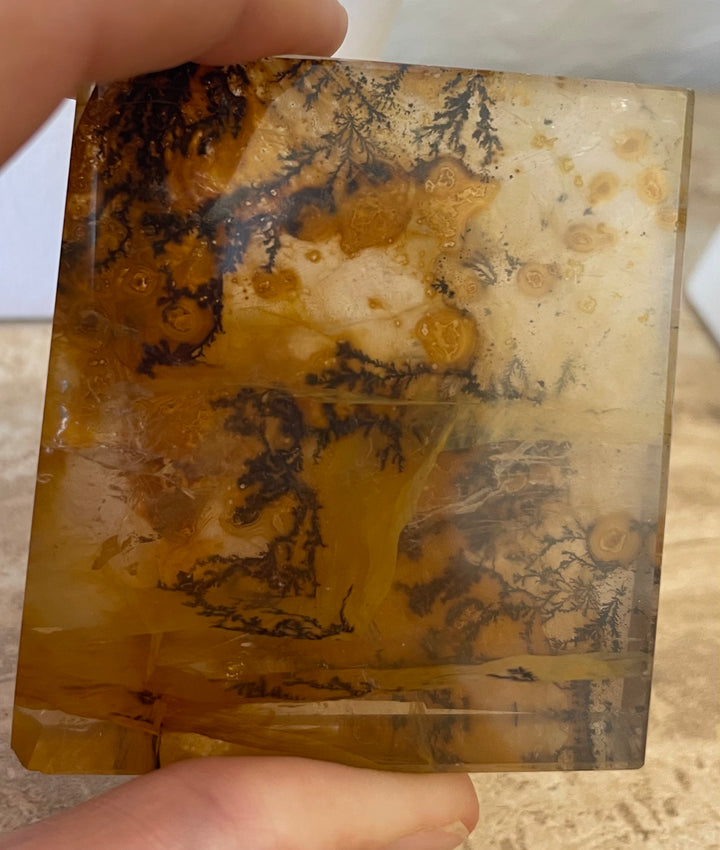 Yellow Dendritic Agate for crystal healing